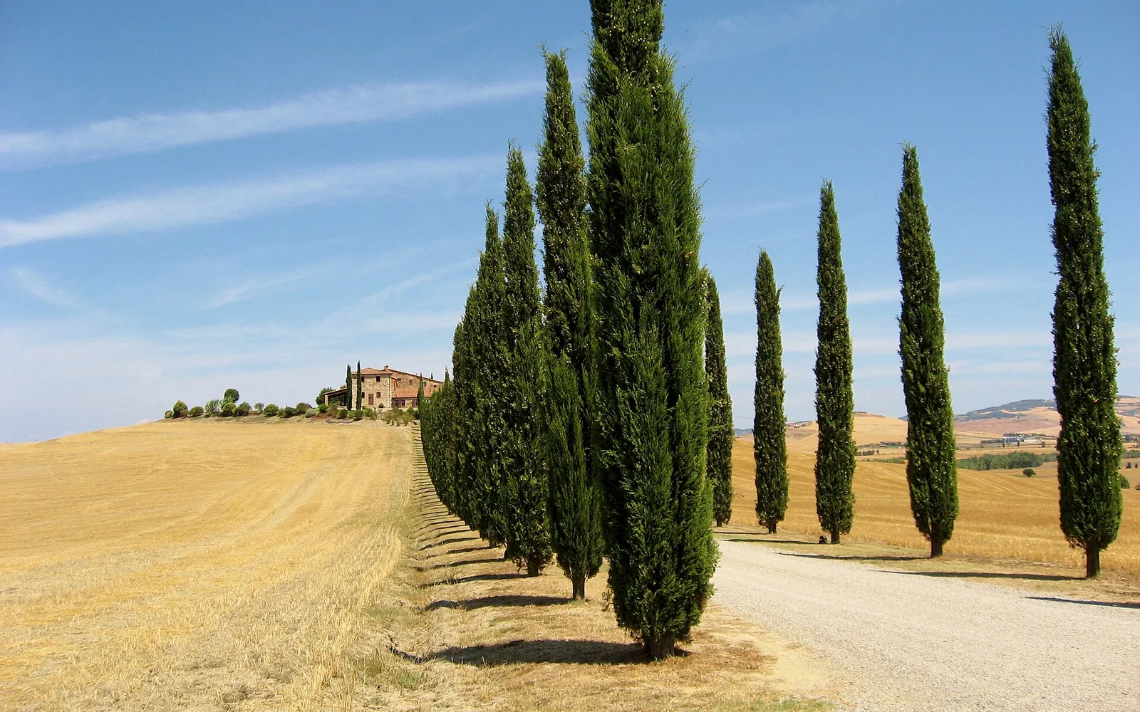 Rolling farmland and cypress trees in the Val d'Orcia