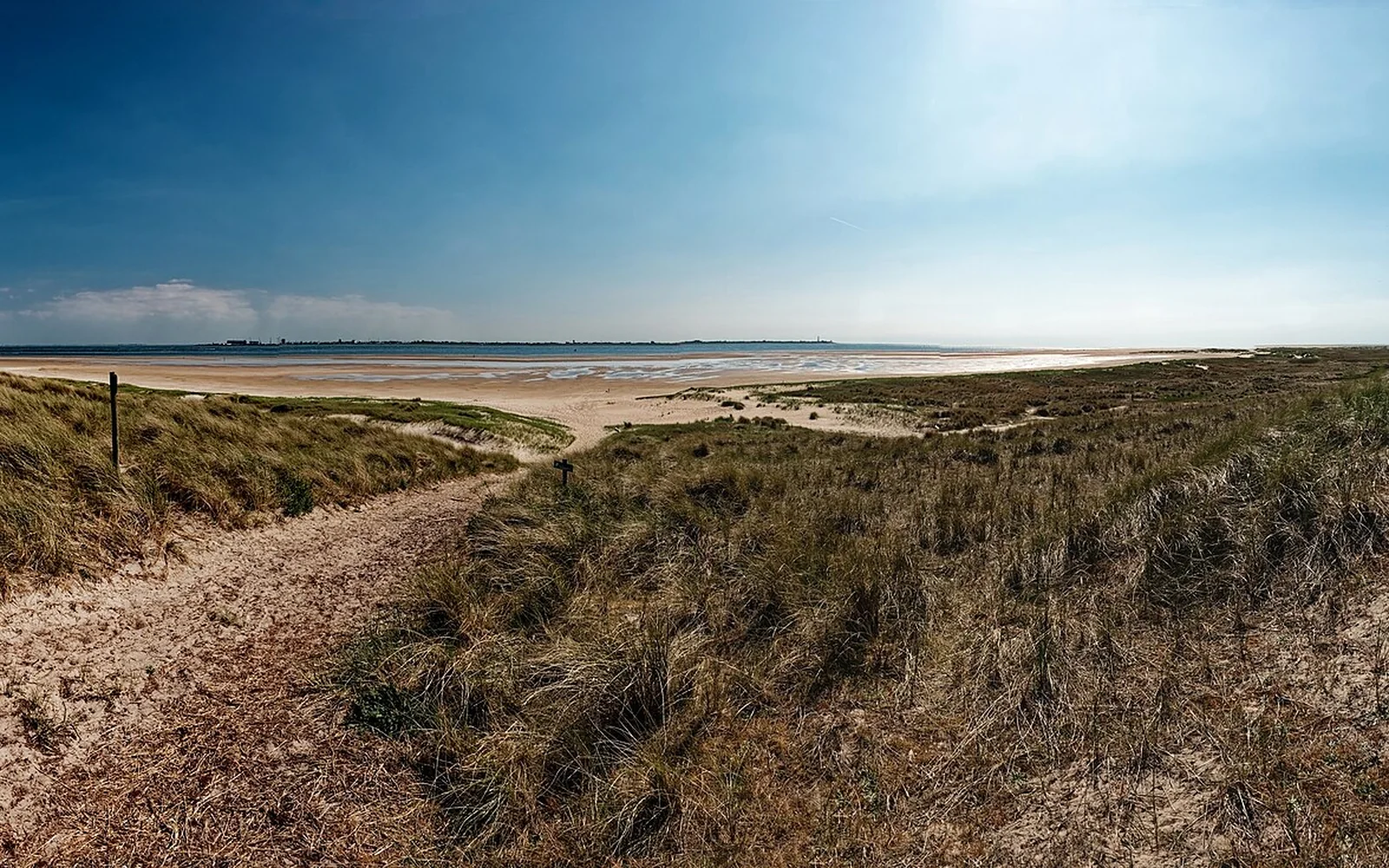 Dunes and beach on the island of Texel