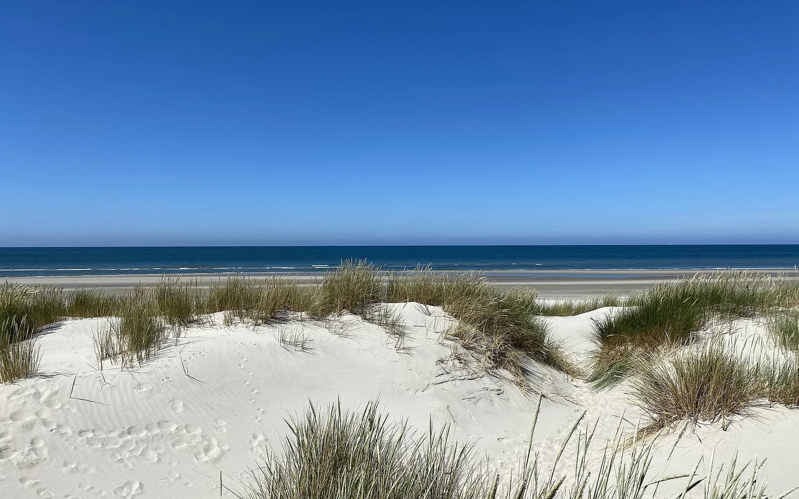White dunes and a broad beach on Terschelling