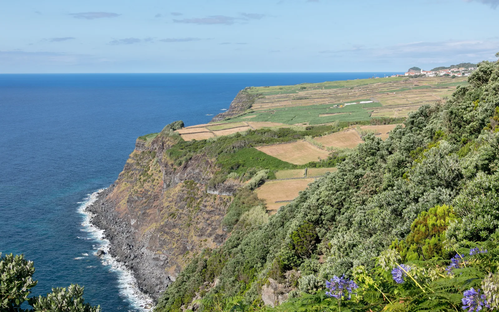 Green coastal landscape on Terceira Island in the Azores