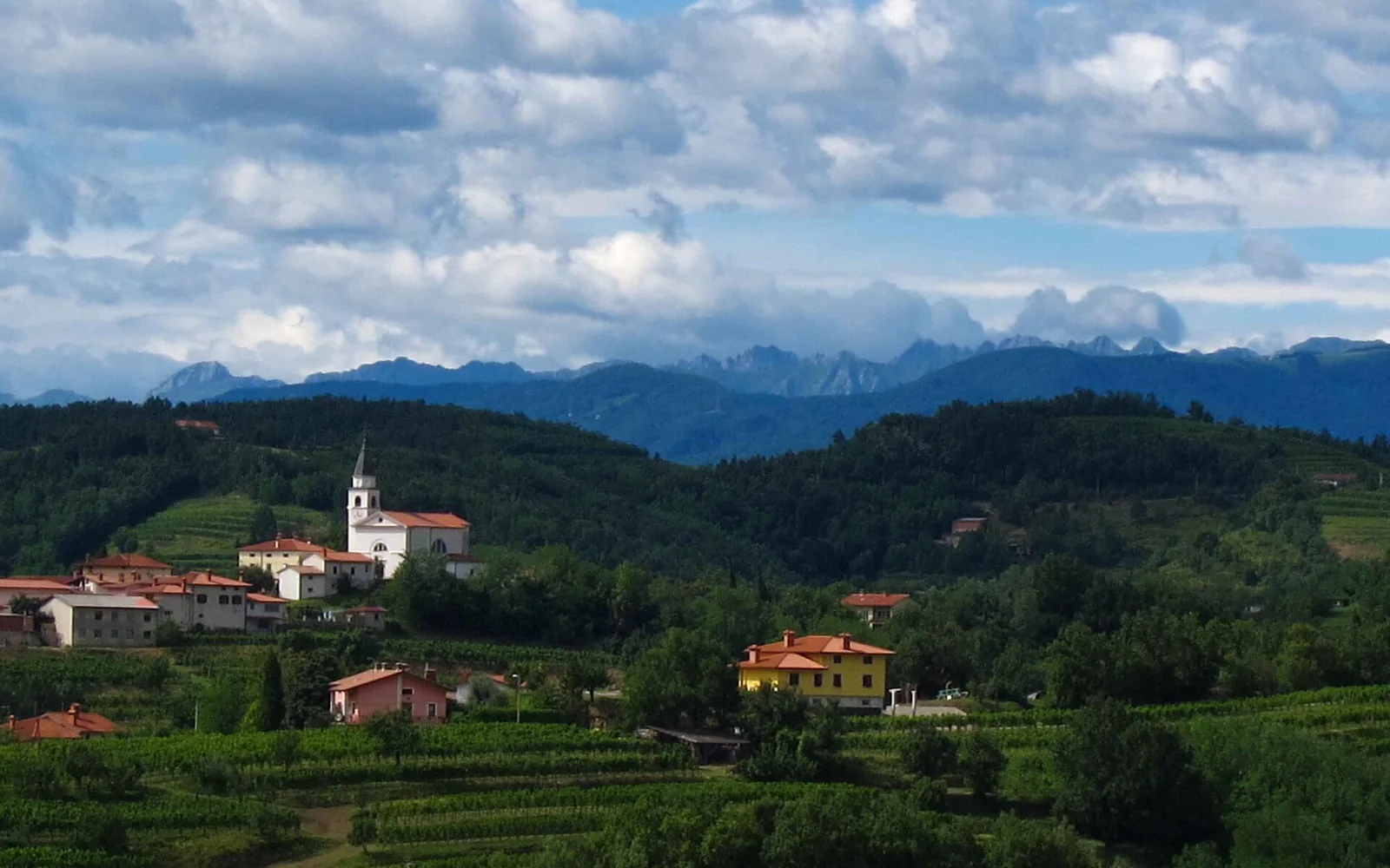 Vineyards and hill villages in Goriška Brda