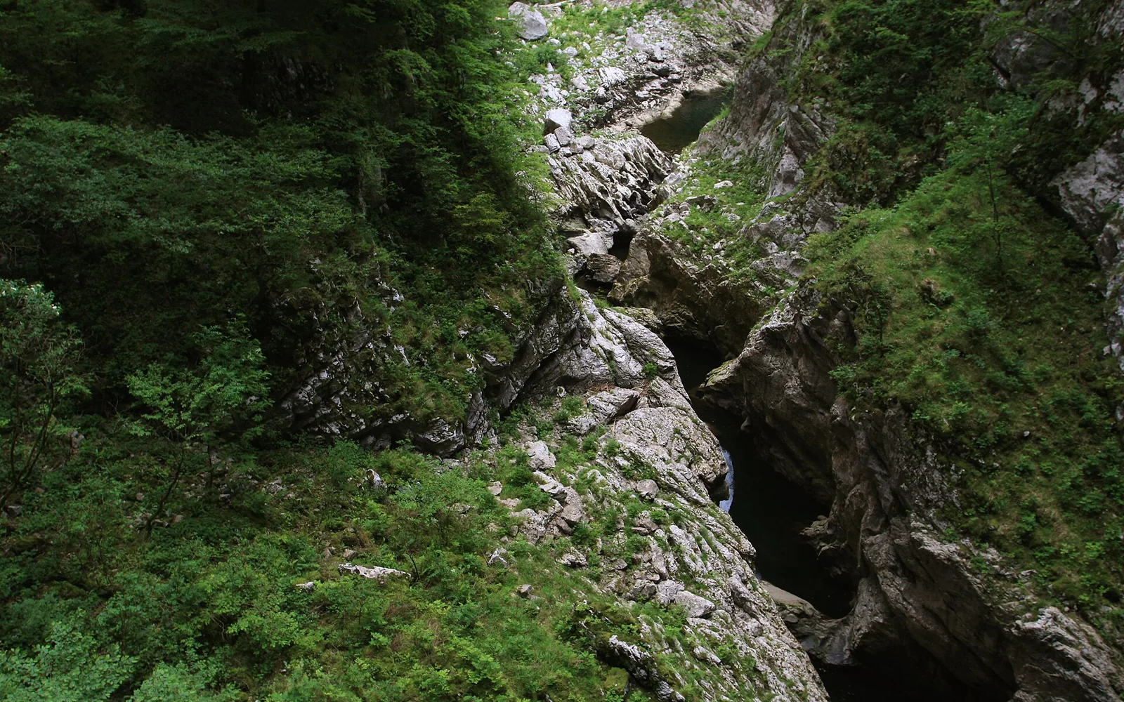 Karst landscape around the entrance to Škocjan Caves