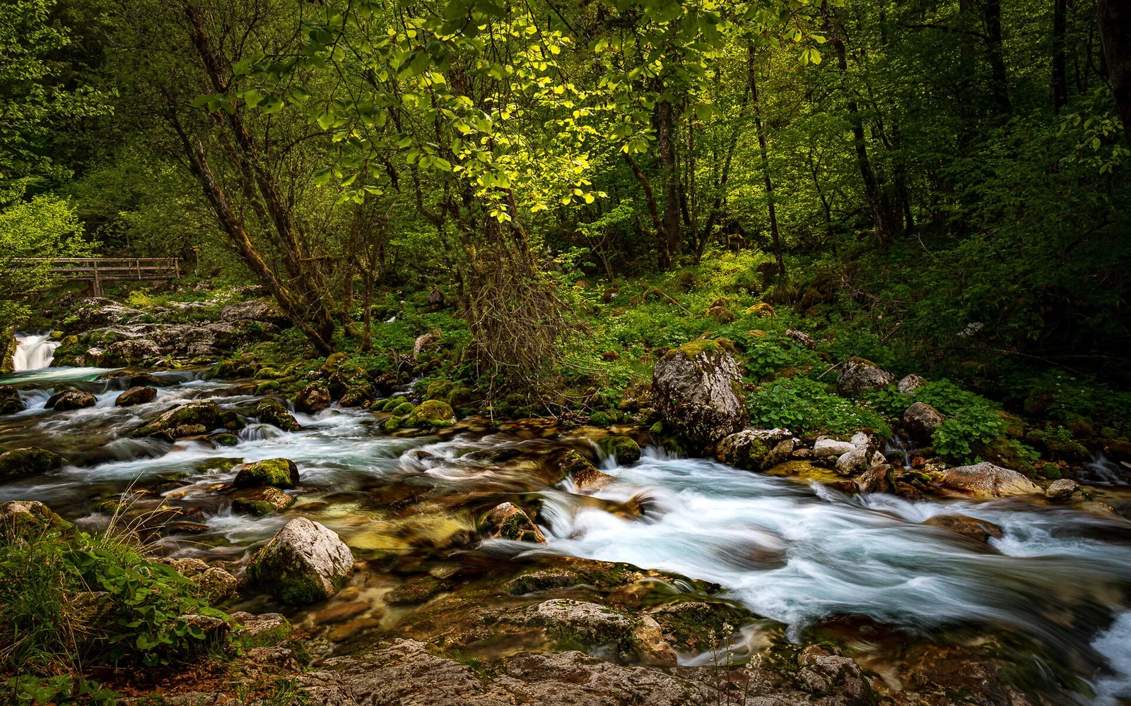 The turquoise Soča River between forested mountains