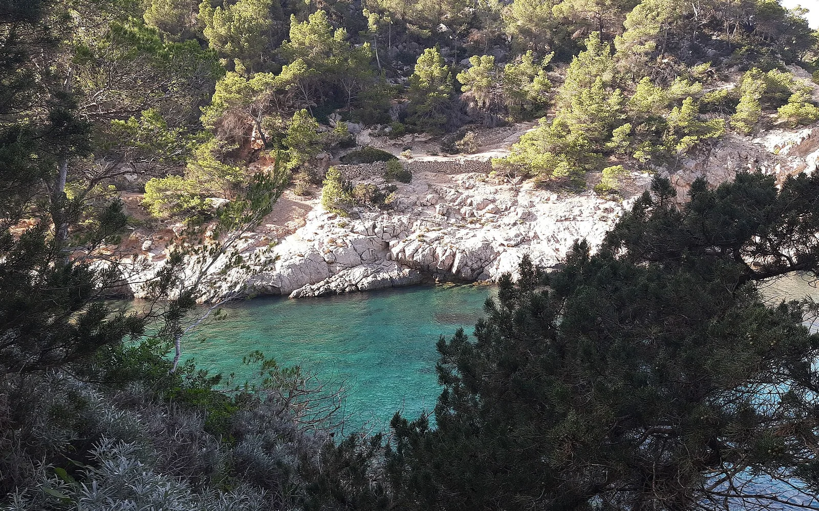 A rocky cala with clear water on Ibiza