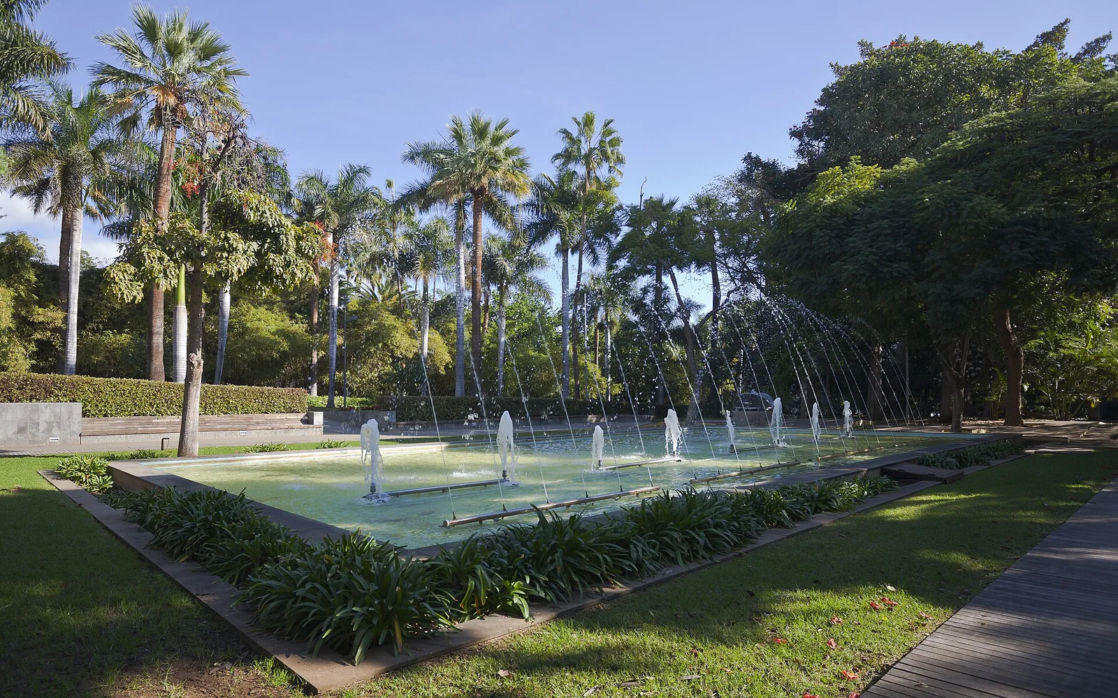 Paths and planting in García Sanabria Park