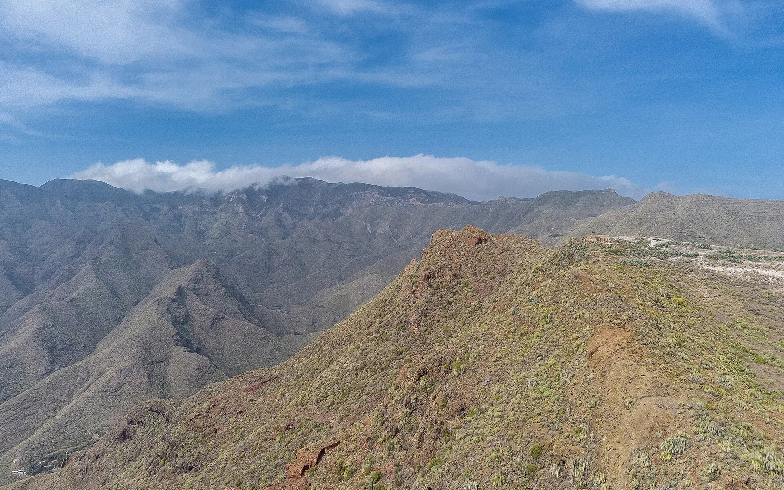 Green ridges in Tenerife's Anaga Rural Park