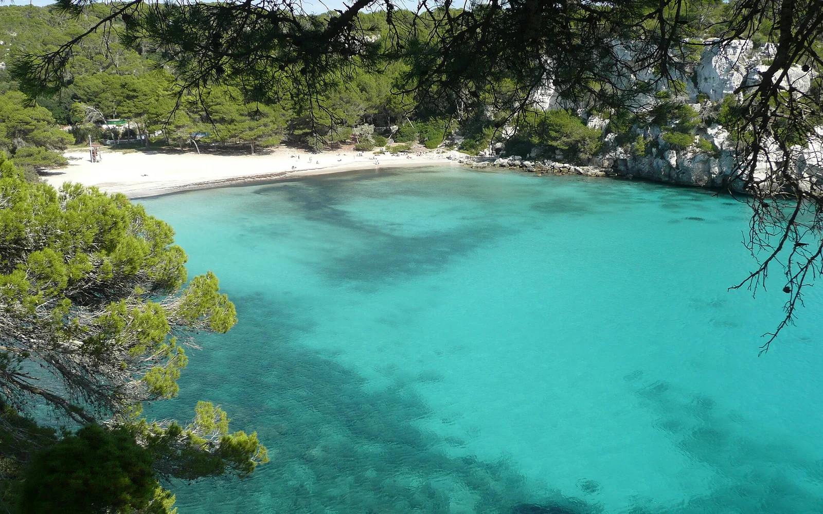 Clear water and pine-covered cliffs at Cala Macarella in Menorca
