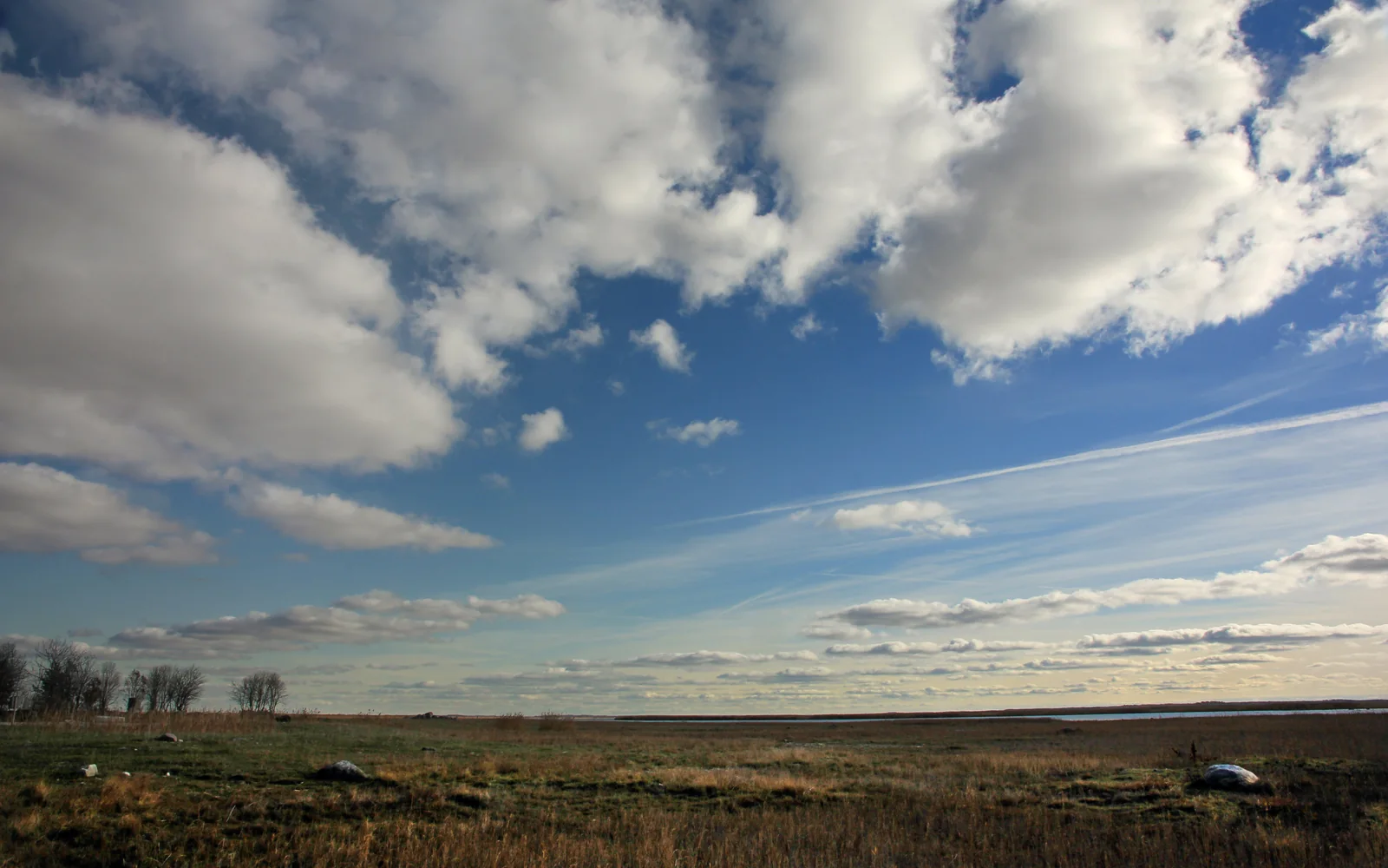 Coastal meadow beside Matsalu Bay under a wide sky